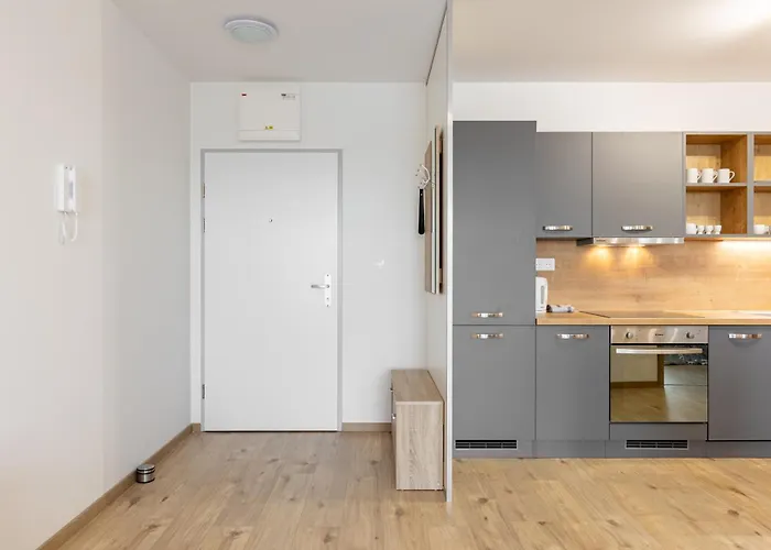 Sunny Haven: Modern 2br,garage, Wifi,stream Gasthuis